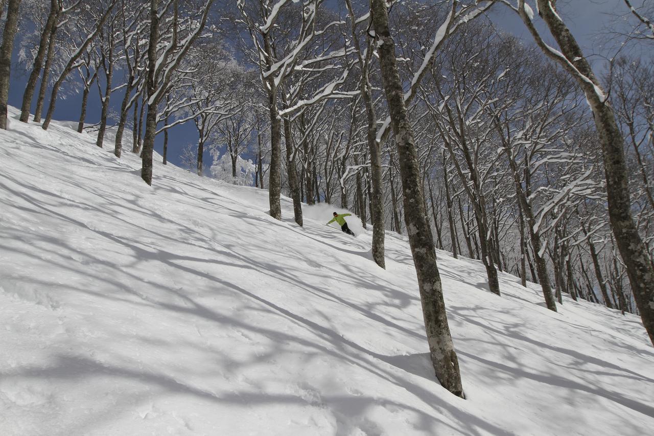 Powder Temple Hotel Hakuba Kültér fotó