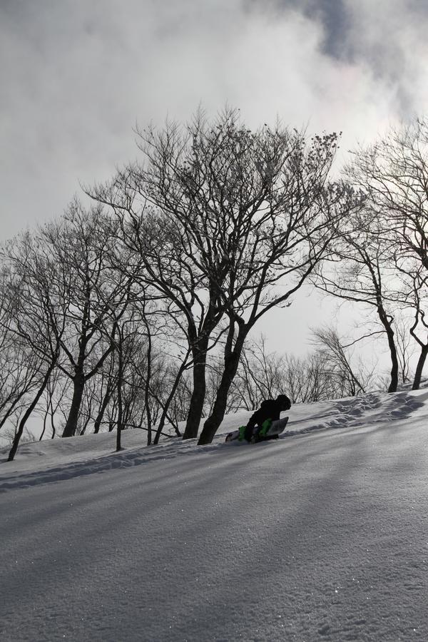 Powder Temple Hotel Hakuba Kültér fotó